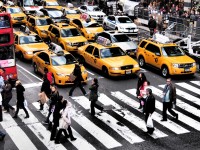 A line of yellow taxis waits as people cross on a zebra