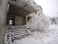 Fish-eye view of hotel entrance and a large, frosty plant