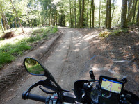 Onboard view from parked bike, showing packed dirt road under trees