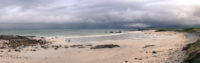 Panorama of beach scene, small group of people play with dogs, large raincloud covers distant horizon.