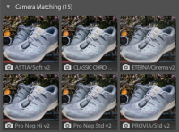 Section of Lightroom UI showing colour presets